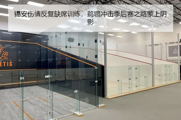 锡安伤情反复缺席训练，鹈鹕冲击季后赛之路蒙上阴影